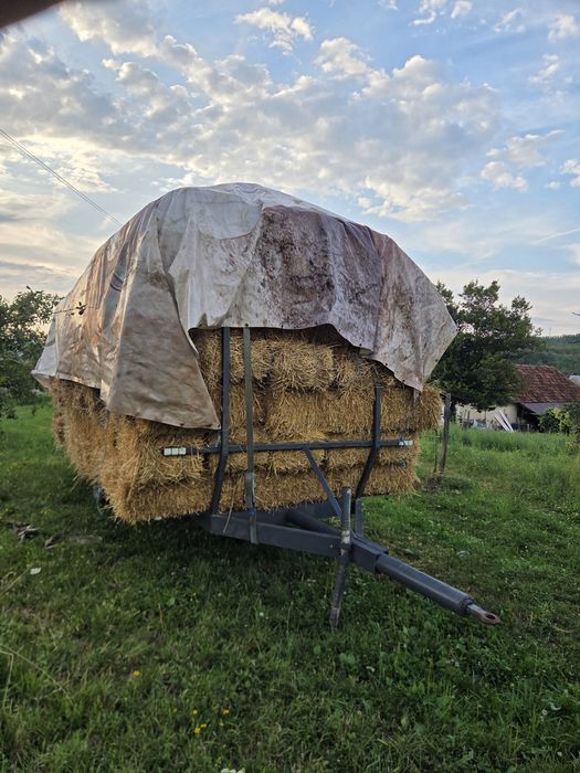 Vând baloți de fân și de paie