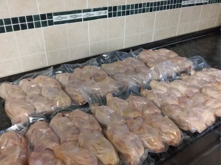 Домашние перепела