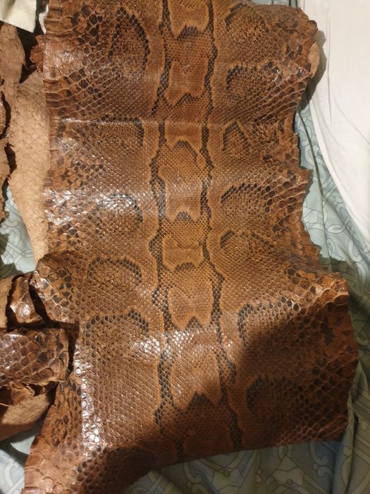 Vand urgent nou fara sa fie ferma