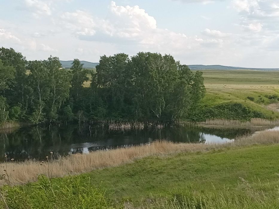 Земельный участок в Боровом