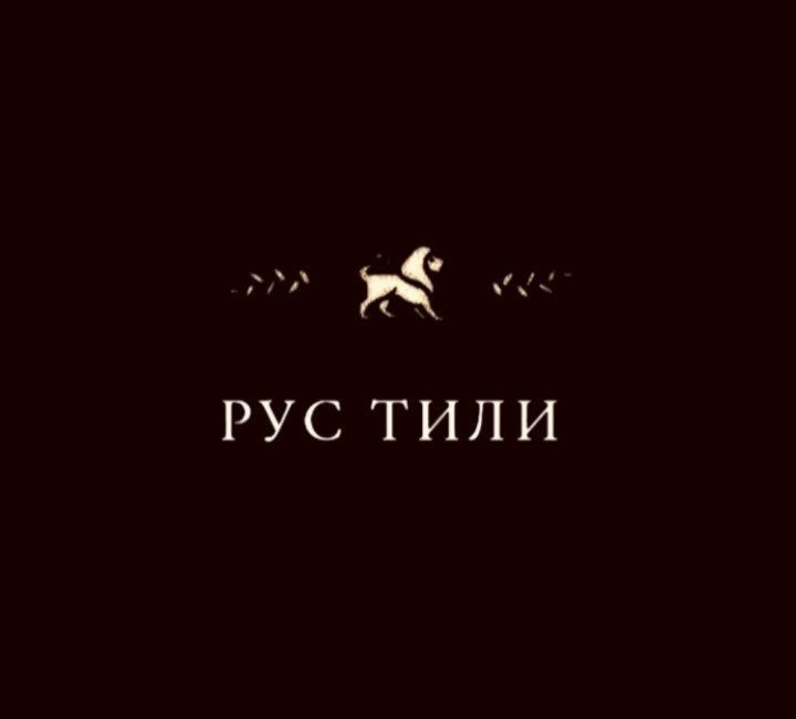 Rus tili online oʻrgatamiz