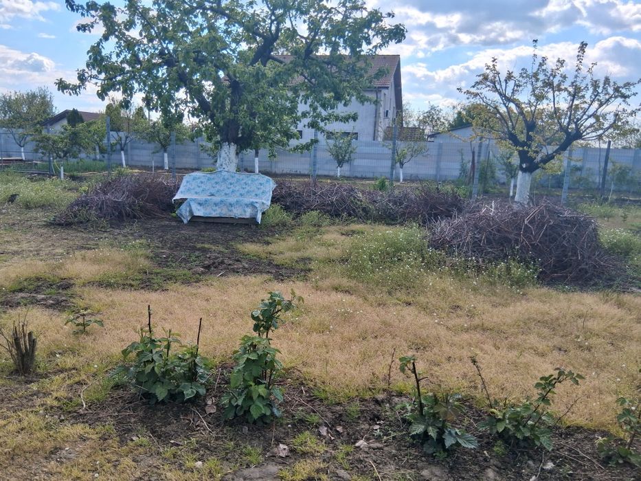 Teren de vânzare comuna 1 Decembrie