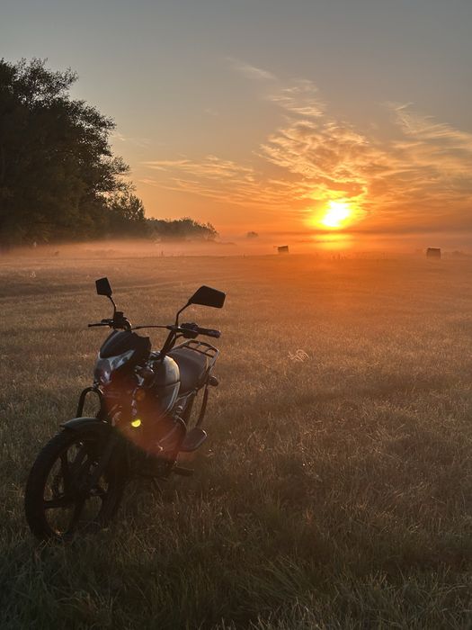 В продаже Alpha Sport Pro 125