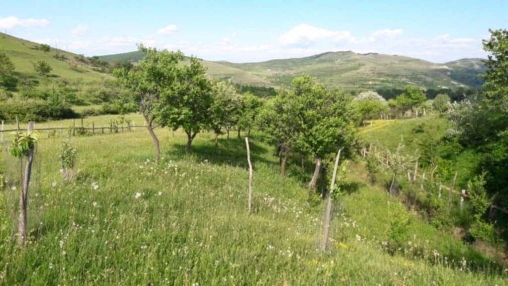 Vând livadă 3600 mp – Sebeșel, jud. Alba