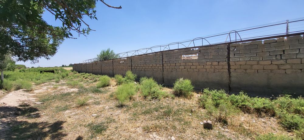 Парник сотилади. (Нархини келишамиз)