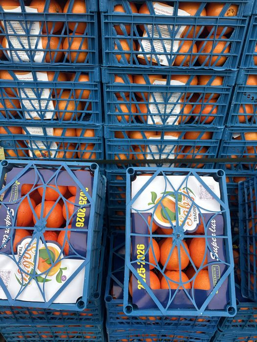 Апельсины с доставкой по городу