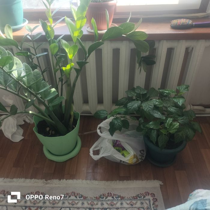 Чугунный батарейки