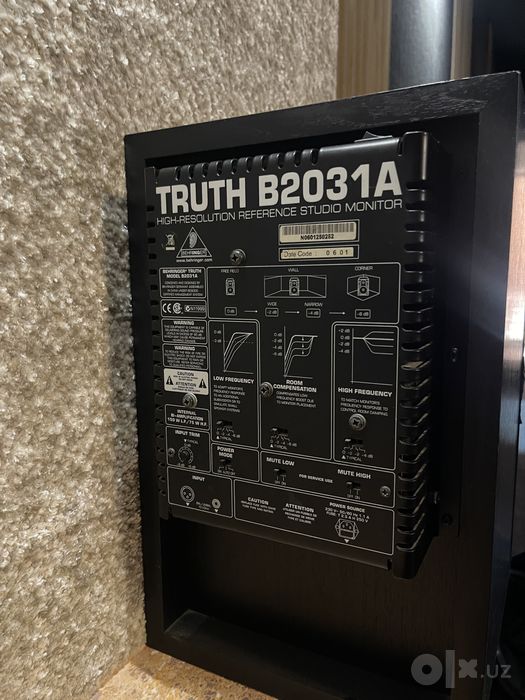 Behringer B2031A
