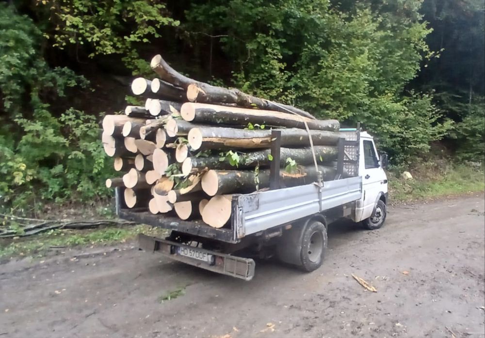 Lemn foc la 3m !! Tot judetul Hunedoara !Contra cost se taie si sparg!