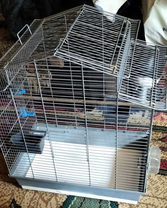 Colivie pentru canari, peruși sau specii mai mici de papagali