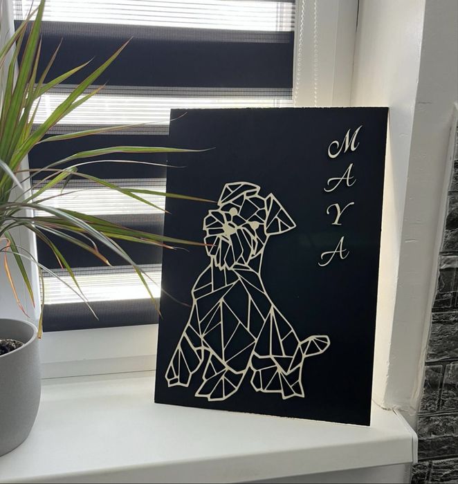 Laser gravare 10W cu pompa de aer si pat tip fagure