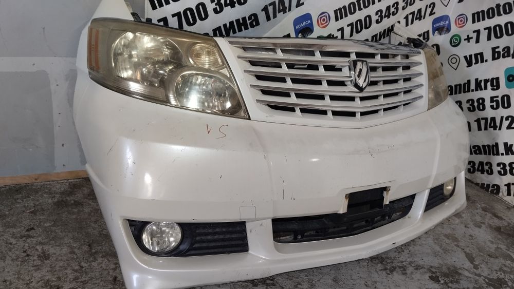 Ноускат Toyota Alphard