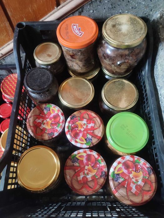 гъби буркани прясна замразена суха манатарка сърнела сладко консерва