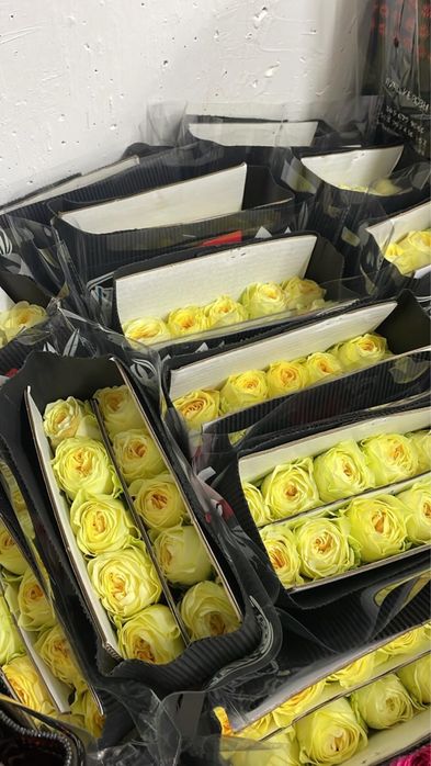 Розы Оптом А класс