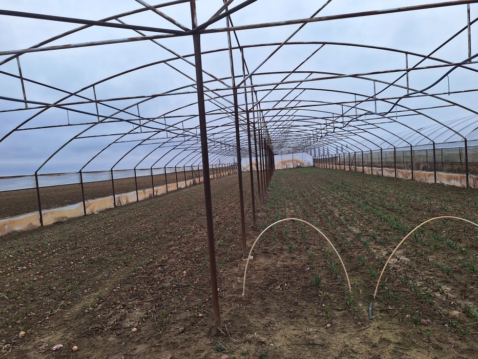 Vând 2 solari din țeavă