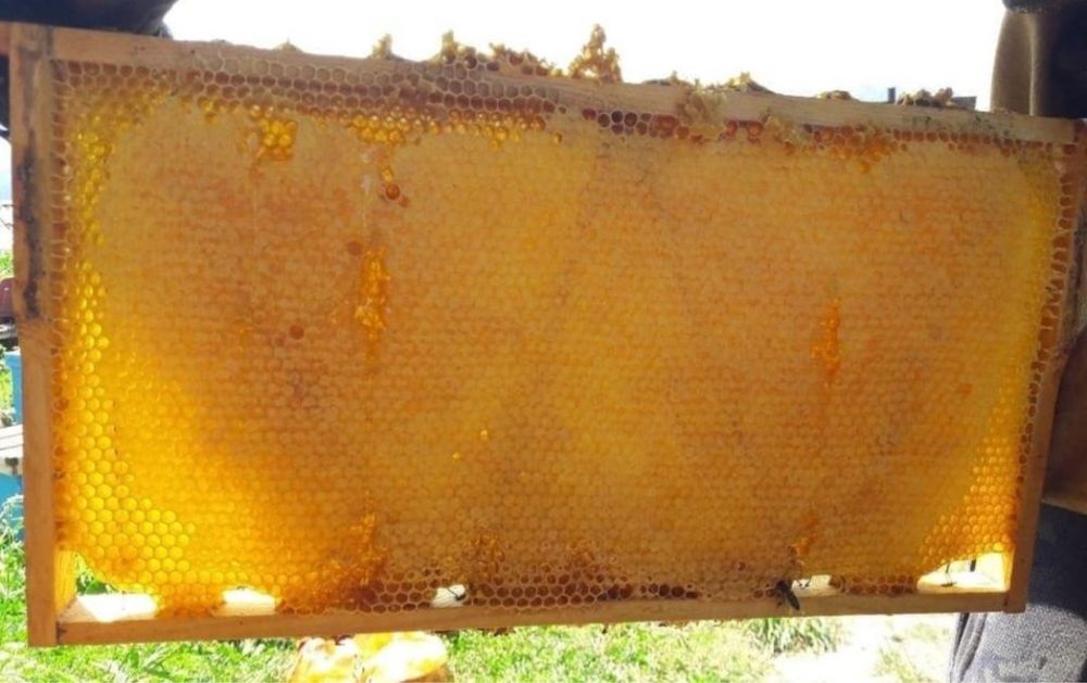 Мёд Катон-Карагайский