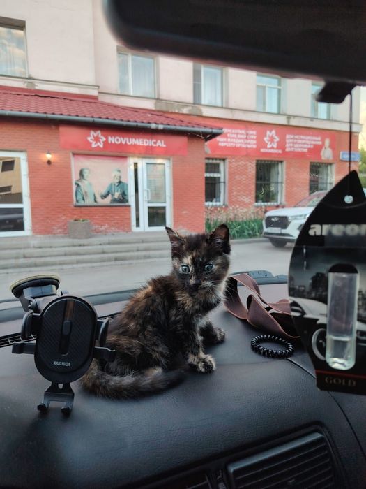 Дарю! Красивый умный!
