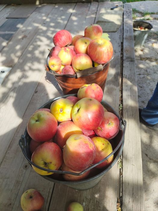 Продается  5 комнатный дом, торг