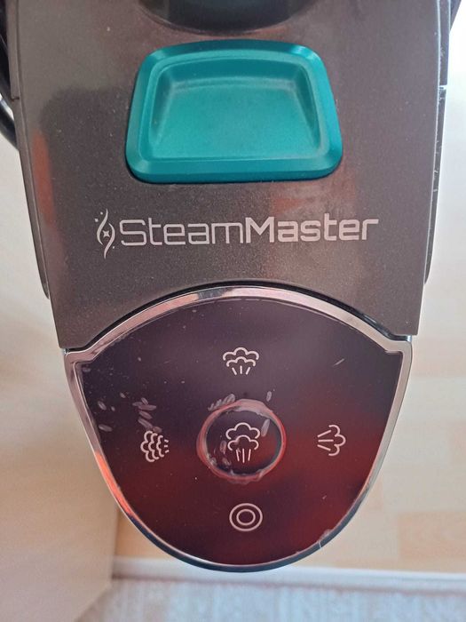 Aspirator vertical si mop cu abur 3 in 1 - Steam Master, 1800 W