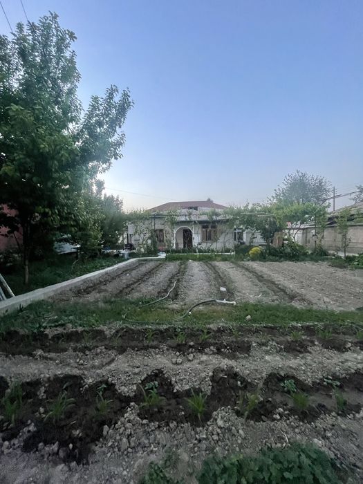 Nurafshon shahar, Birlik mahallada  8 sotix 7 xonali uchaska sotiladi