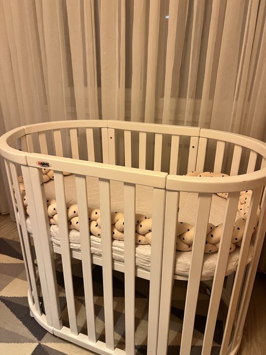 Patut rotund/oval evolutiv Bragadiru If