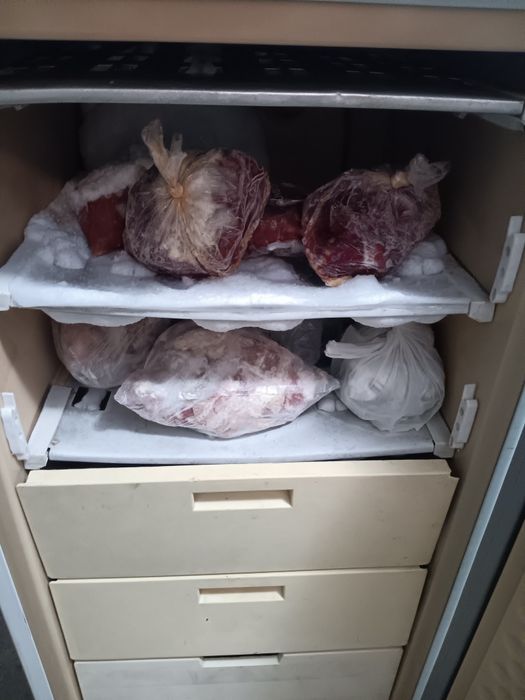 De vânzare congelator Arctic