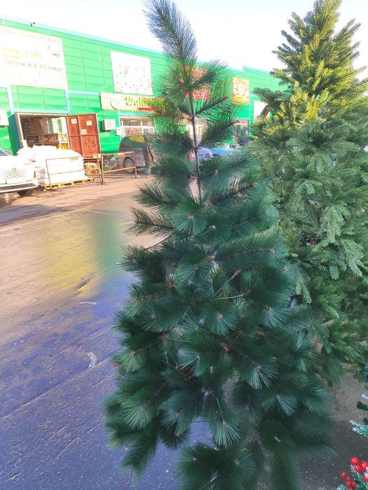 Ёлка 16000 теңге