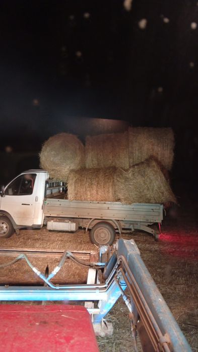 Продам сено летнее есть доставка