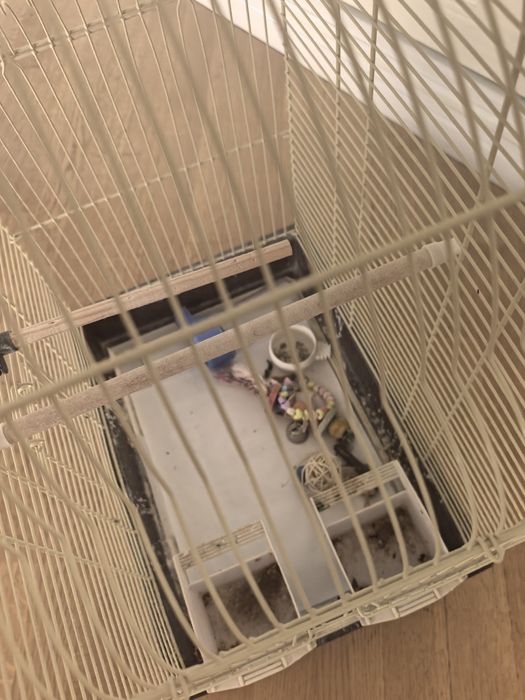 Клетка для попугая