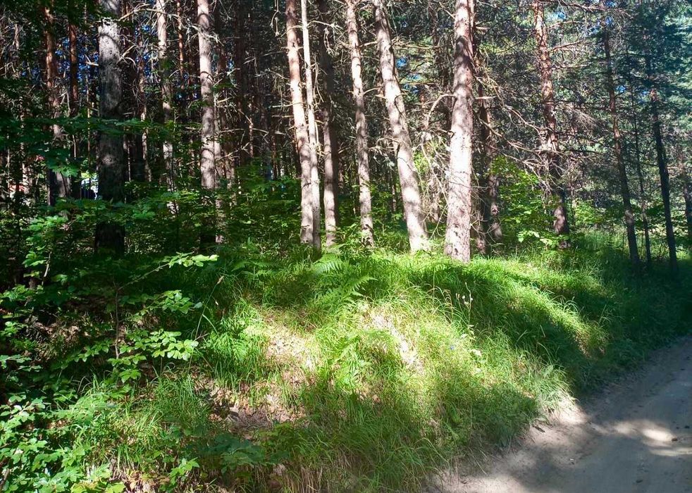 Продава се Парцел в с. Дедово, Област Пловдив - 543 кв.м за 53 €/кв.м - Снимка #4