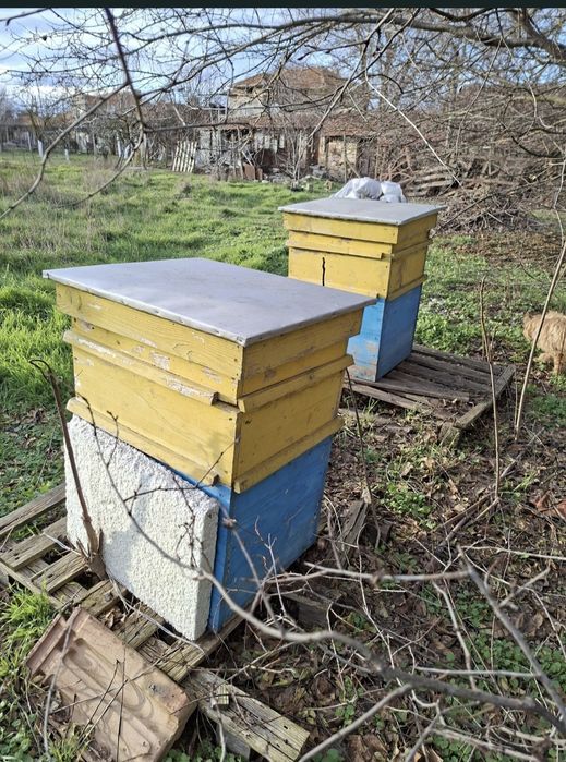 Употребявани кошери за пчели