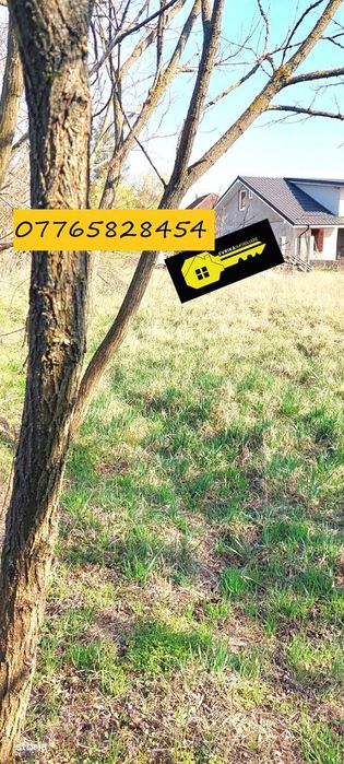 Teren Paleu, intre case, 600 mp, utilitati