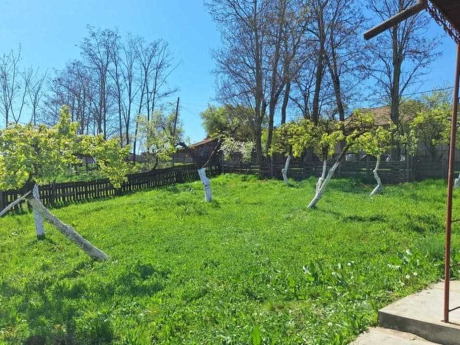 Vând sau schimb cu garsoniera casă în Ceanu Mare(Valea lui Cati)