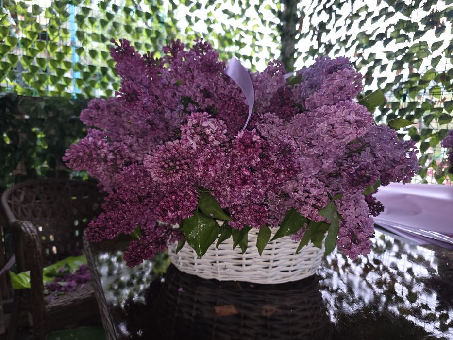 Сирень Букеты Элитная