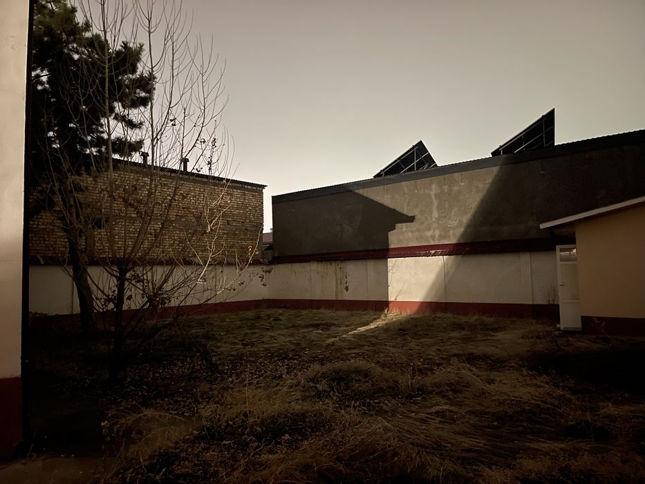 Амир Темур Махалла