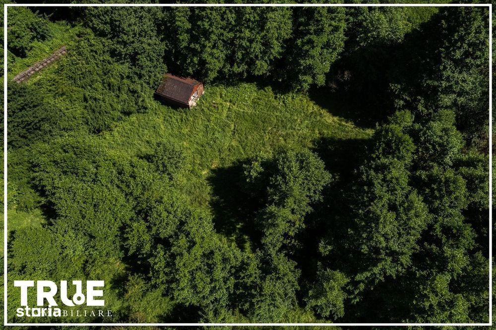 Teren intravilan 2.800 m² în Câmpu Cetății – liniște și natură
