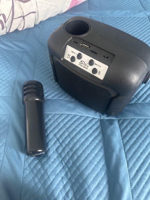 Колонка с микрофоном