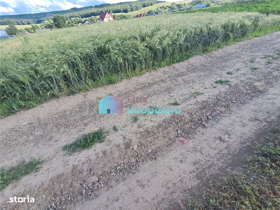 Teren intravilan in Reuseni, comuna Udesti