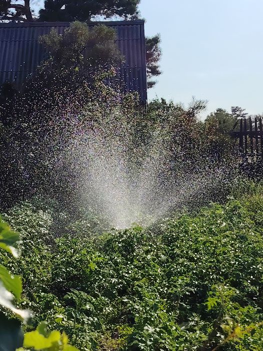 Продам дачу в 1 общ. 400000т. полив отличный