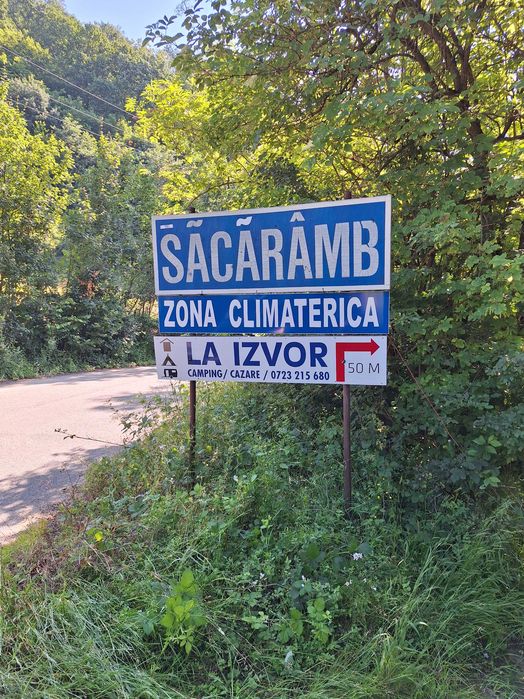Teren extravilan si padure
