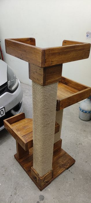 Котешка катерушка дърво