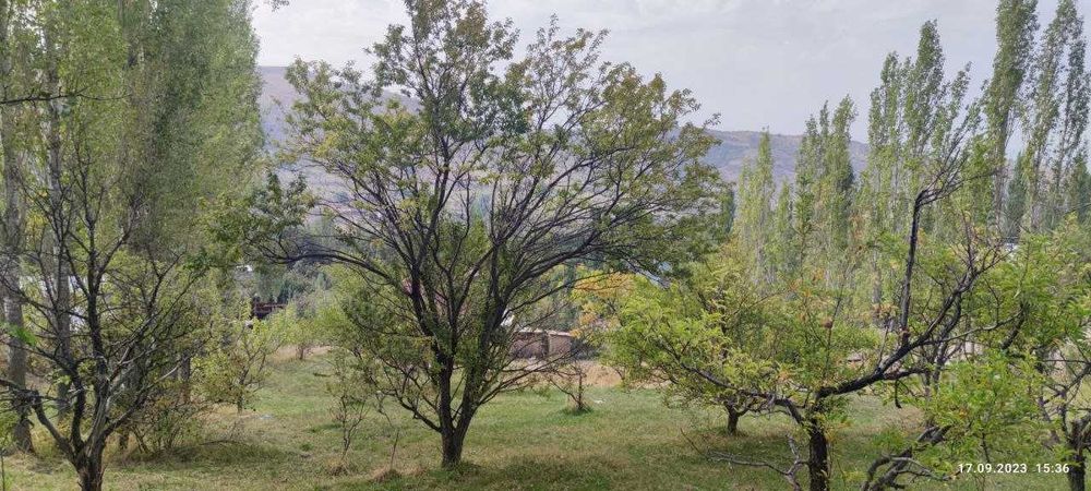 Участок под строительство в Чимгане