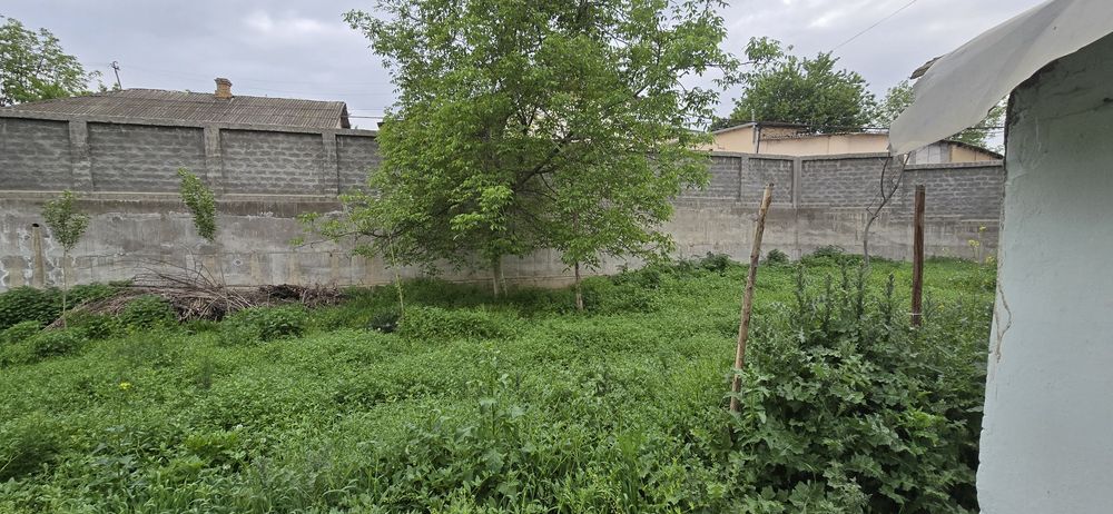 Уй сотилади. Продаётся дом. Таш.обл г. Янгиюль. 19 сот