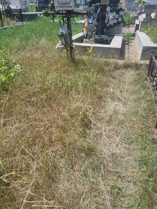 Loc de veci Sfanta Treime