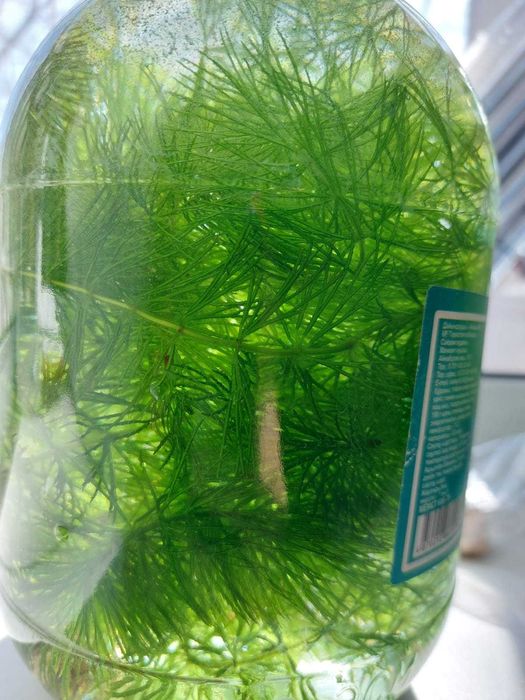 Аквариум 120 литров