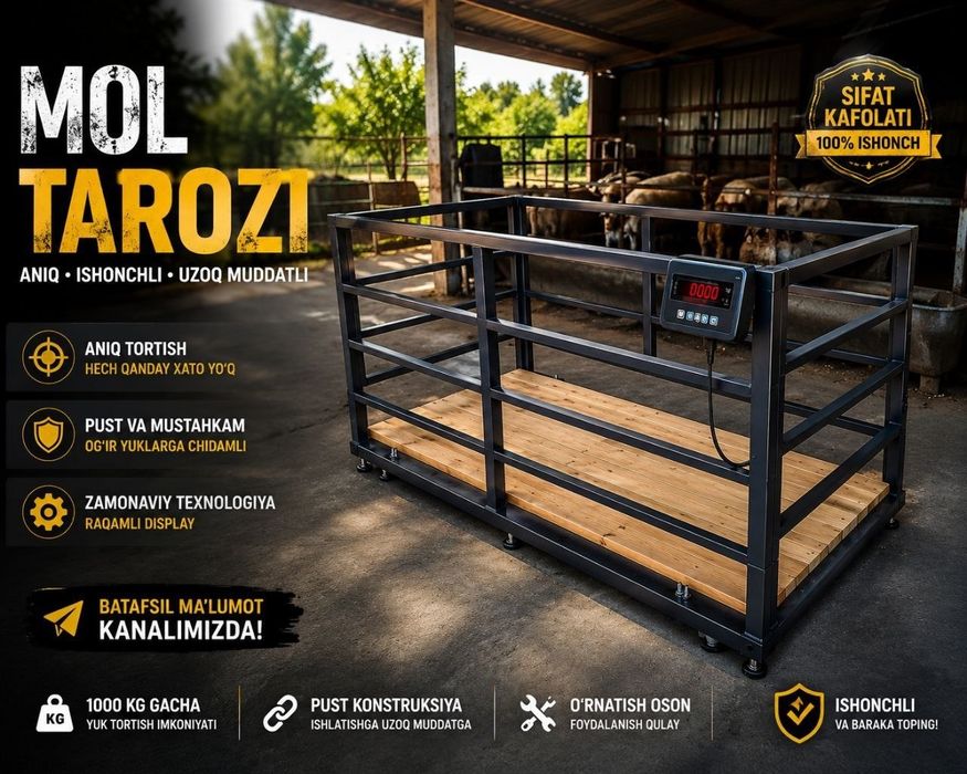 Chorva mol tarozi bor sotiladi