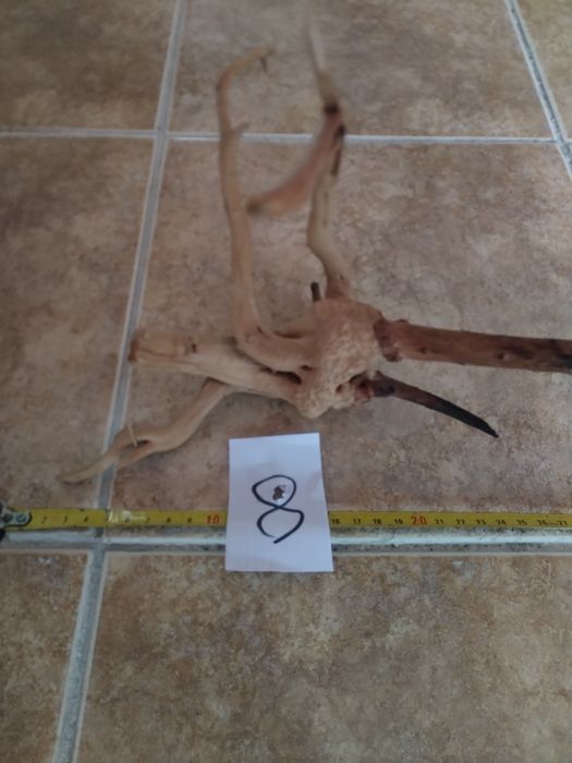 Специализирани аквариумни лампи и корени от азалия