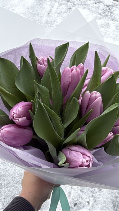 Тюльпаны 800 тенге розница