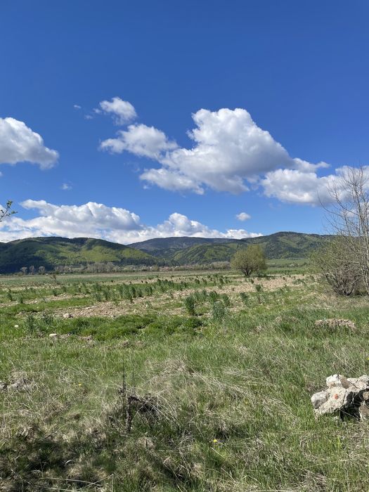 Продава се Земеделски имот в Самоков -  кв.м за 8 €/дка - Снимка #2