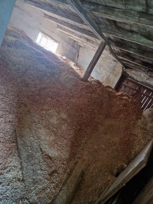 Rumeguș rășinoase